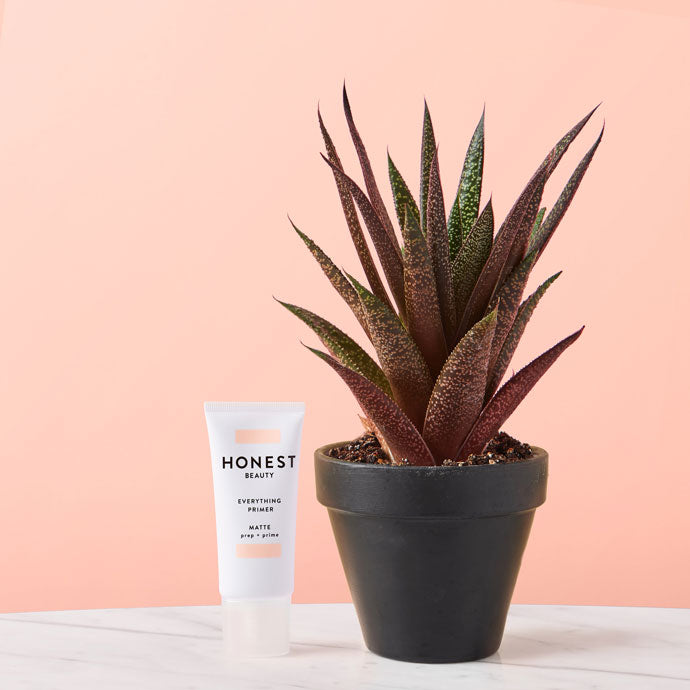 Timeless Quality 4-8 weeks of regular use