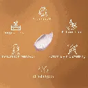33.webp